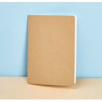 (deli)海澜优选B6再生纸笔记本子30张缝线本记事本日记本软面抄 原色