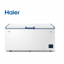 海尔（Haier）家用冰柜 超低温-38度-60度大容量商用冷柜 双门卧式深冷单温冷藏茶叶柜冷冻速冻 DW/BD-55W451EU1（-60℃）