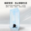 海信 (Hisense) 535升 对开门电冰箱 变频风冷无霜 纤薄大容量双开门 节能静音 BCD-535WTVBP/Q