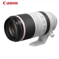 佳能RF100-500mm F4.5-7.1 L IS USM微单数码镜头 RF100-5