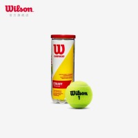 Wilson威尔胜密封罐装组合运动训练比赛网球 WRT100101