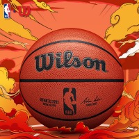 威尔胜(Wilson)NBA比赛用复刻版篮球7号室内外防滑耐磨PU WTB7200IB07