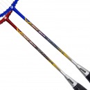 红双喜DHS羽毛球拍对拍2支双拍碳素专业羽拍套装E-EG601已穿线