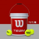 威尔胜（Wilson）网球131100 无压训练网球  一桶72只