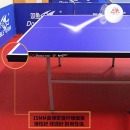 双鱼（DOUBLE FISH）乒乓球桌室内标准乒乓球双鱼（DOUBLE FISH）乒乓球桌室内标准乒乓球台  可折叠移动乒乓球案子 标准款-520