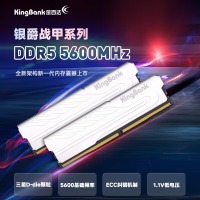 金百达（KINGBANK）32GB(16GBX2)套装 DDR5 5600 台式机内存条 银爵 三星D-die颗粒原频