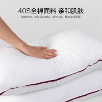 水星家纺 枕头芯颈椎枕枕芯一对装升级纯棉抗菌对枕74*48cm