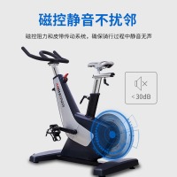 迈宝赫 【贵族专享】动感单车家用磁控运动减肥器材室内有氧健身车 DX02贵族豪华磁控单车（
