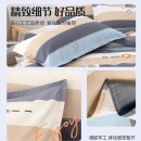 艾薇（AVIVI）枕头套枕套一对纯棉家用全棉单人枕套枕芯套 罗马时代 48*74cm