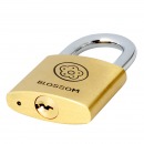梅花（BLOSSOM） 雅圆铜挂锁25MM 抽屉锁箱包锁 宿舍柜门锁BC9025