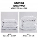 罗莱生活旗下品牌 七孔纤维冬被子 5.8斤200x230cm白色